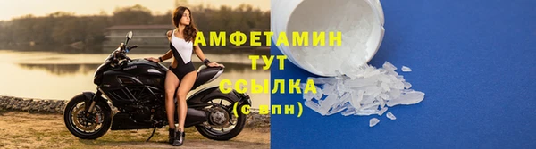 спиды Аркадак