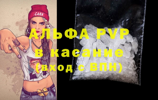 спиды Аркадак