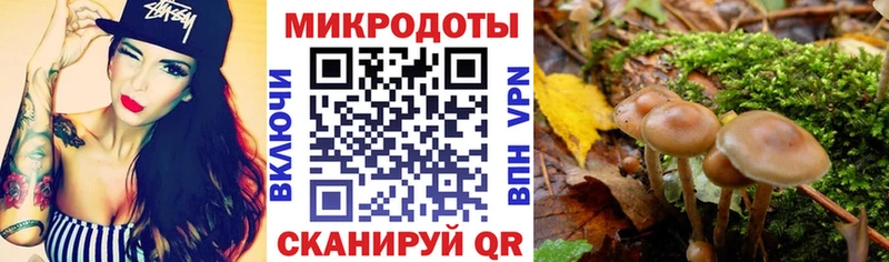 Псилоцибиновые грибы GOLDEN TEACHER  где можно купить наркотик  Суровикино 